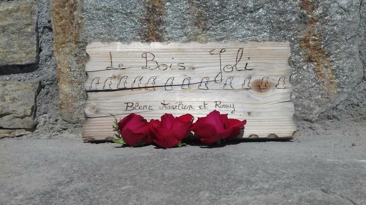 Chalet Le Bois Joli Bonneval-sur-Arc Εξωτερικό φωτογραφία