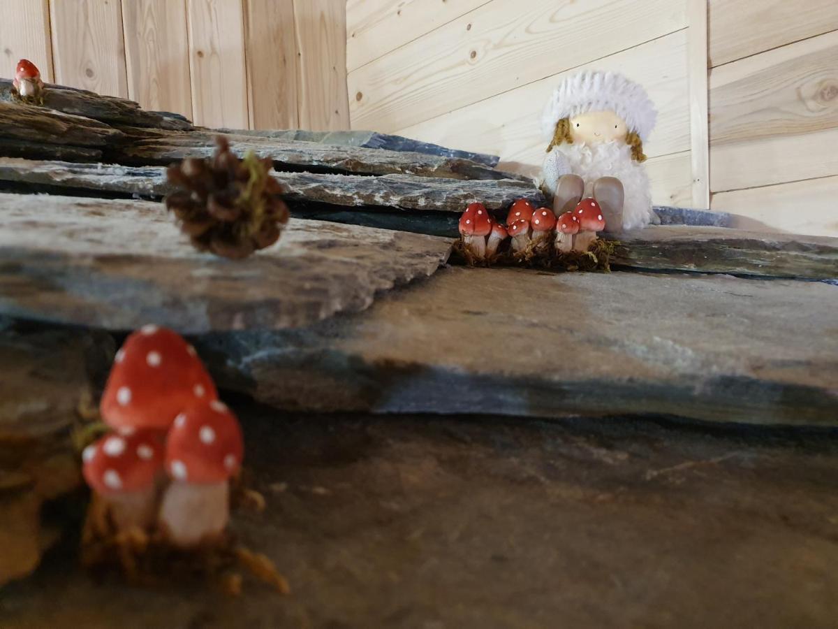 Chalet Le Bois Joli Bonneval-sur-Arc Εξωτερικό φωτογραφία